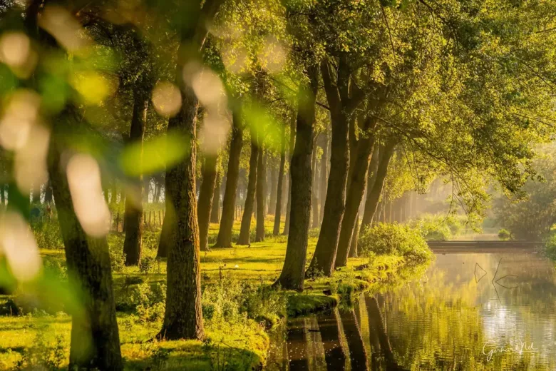 Omgeving B&B
