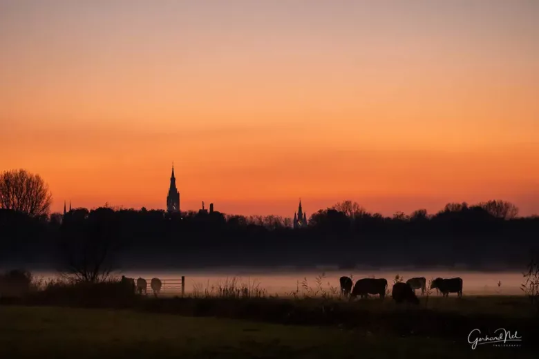 Omgeving B&B